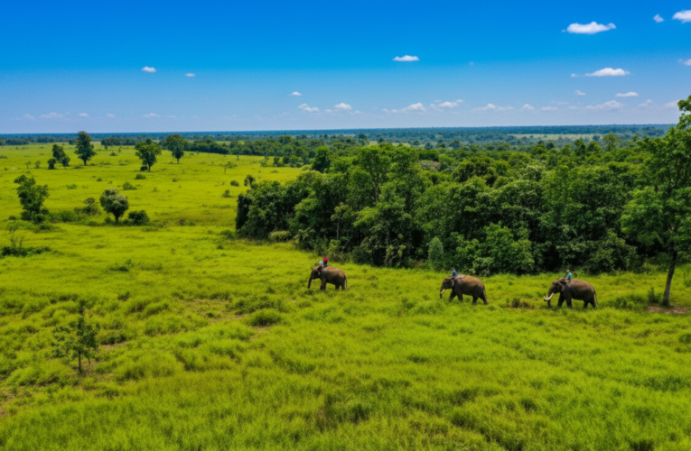 Taman Nasional Tesso Nilo: Benteng Terakhir Konservasi Gajah dan Keragaman Hayati